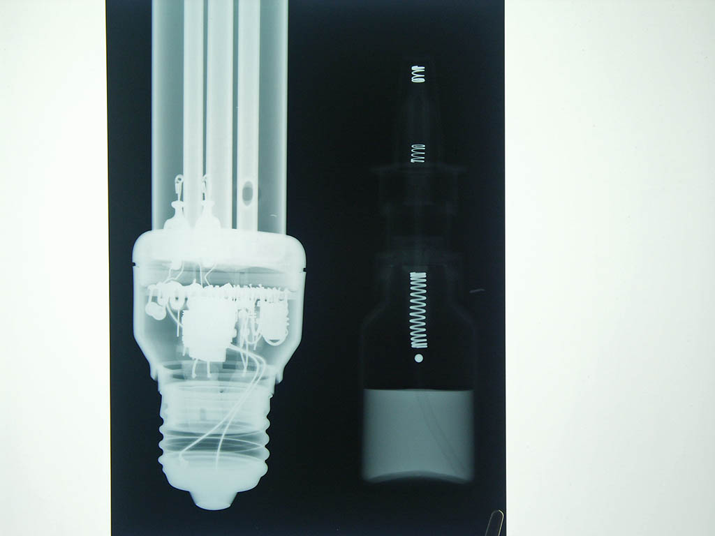 Fluorescent lamp and spray flask